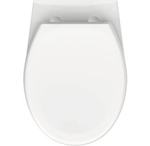 Toilettendeckel von oben