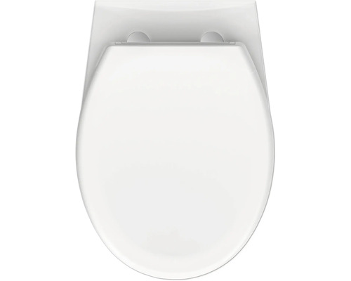 Toilettendeckel von oben