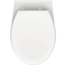 Aufgeschnittene Toilettenschüssel von oben