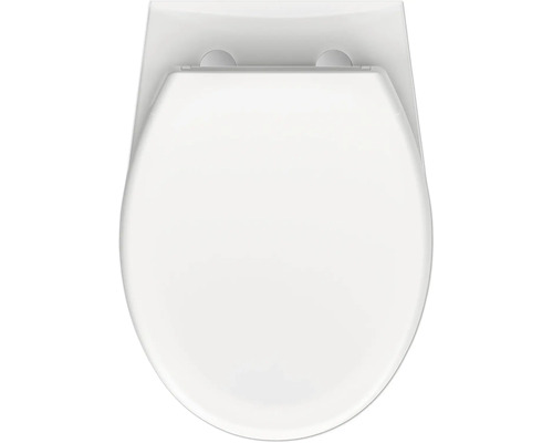 Aufgeschnittene Toilettenschüssel von oben