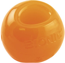 Bionic Ball für Hunde
