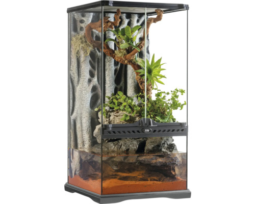 Terrarium, Paludarium Exo Terra small X-tall, 30 x 30 x 60 cm, Glas, Kunststoff