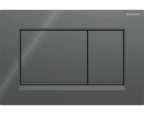 Betätigungsplatte Geberit Sigma 30 2-Mengentechnik schwarz glänzend /Streifen der Drucktaste matt