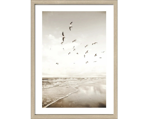 Gerahmtes Bild Seagulls Beach II 53x73 cm