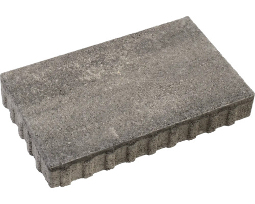 Grauer Pflasterstein