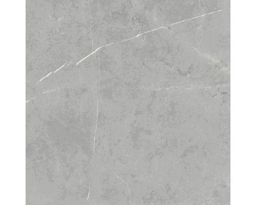 Steinzeug Bodenfliese Davos 60x60 cm grau glänzend