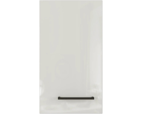 Hängeschrank Flex Well Lund lichtgrau/rauchgrau 30x54,8x32 cm mit Drehtür Schranktür mit Griff