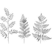 Drei dekorative Zweige mit Blättern