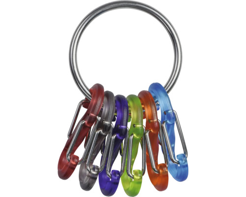 Schlüsselanhänger mit Karabinerhaken