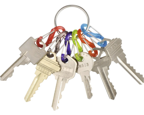 Schlüsselbund mit verschiedenen Schlüsseln und farbigen Karabinern