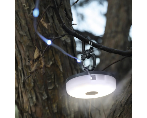 Campinglampe mit Karabiner an einem Ast befestigt.