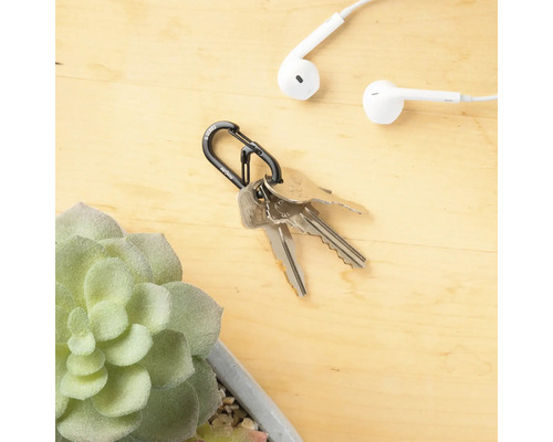 Schlüsselanhänger mit Schlüsseln, Kopfhörern und Sukkulente
