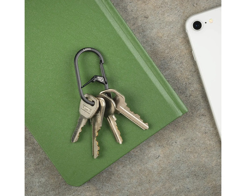 Schlüsselanhänger mit mehreren Schlüsseln an einem Karabinerhaken