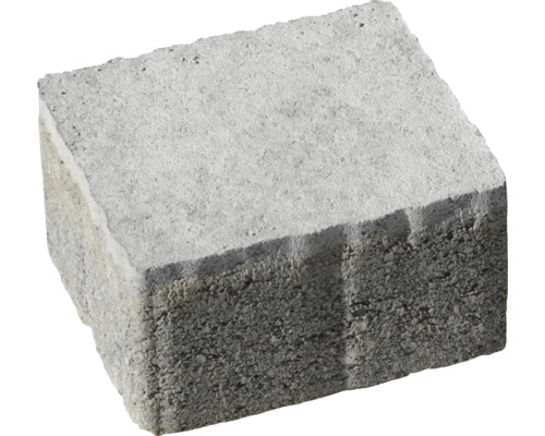 Einzelner grauer Pflasterstein