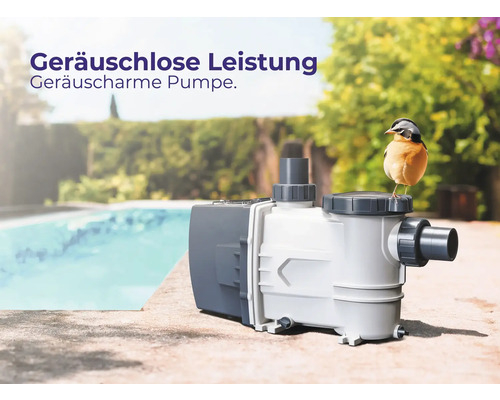 Poolpumpe neben einem Schwimmbecken mit einem Vogel auf dem Deckel