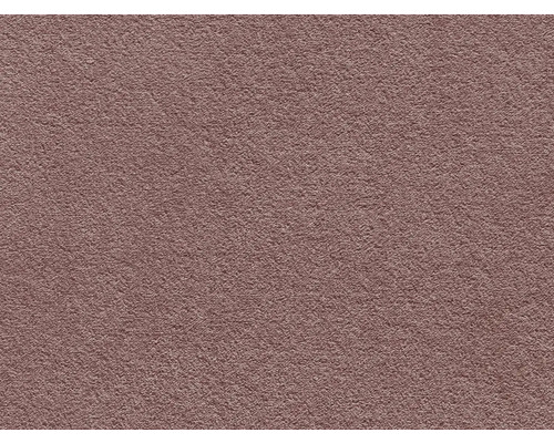 Teppichboden Shaggy Grizzly aubergine FB88 400 cm breit (Meterware) Nahaufnahme einer Wand mit Rauputzstruktur