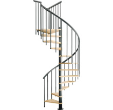 Wendeltreppe mit Metallgeländer und Holzstufen
