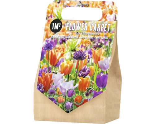 Blumenzwiebelmischung für einen Quadratmeter Fläche, 50 Stück