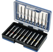 Bit-Set mit verschiedenen Schrauberbits in einer Aufbewahrungsbox