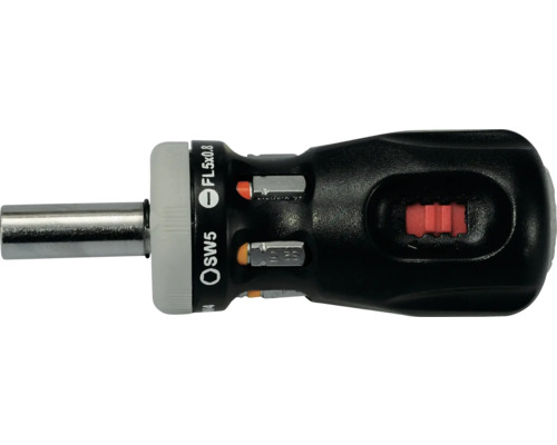 Umschaltknarre mit Bithalter und verschiedenen Bits