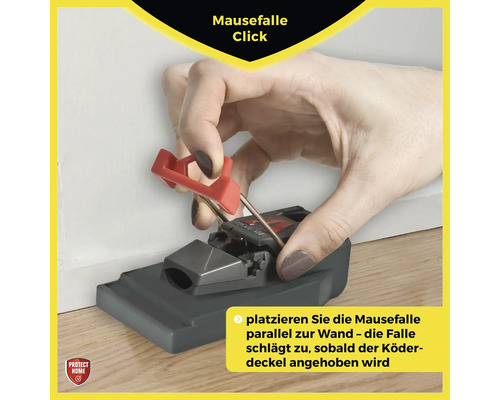 Eine Hand spannt eine Mausefalle