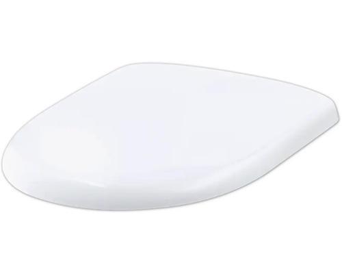 Toilettendeckel aus Kunststoff