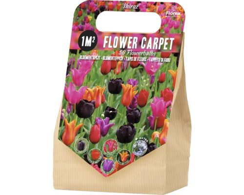 Verpackung Blumenzwiebeln für einen Blütenteppich mit 50 Stück