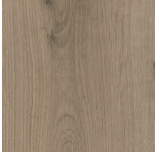 Nahaufnahme einer Holzoberfläche