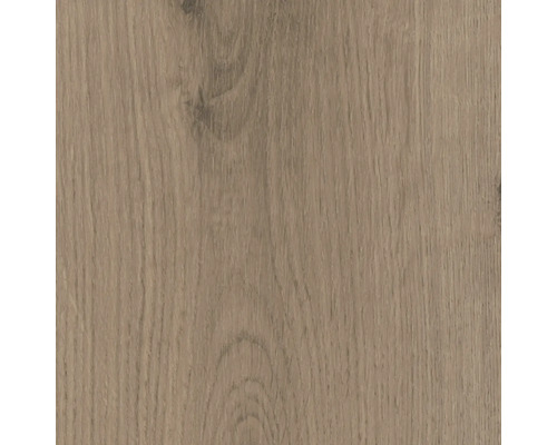 Nahaufnahme einer Holzoberfläche