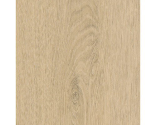 Nahaufnahme einer Holzoberfläche