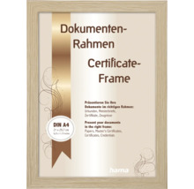 Hama Dokumentenrahmen A4