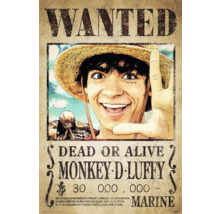One Piece Monkey D. Luffy Wanted Poster