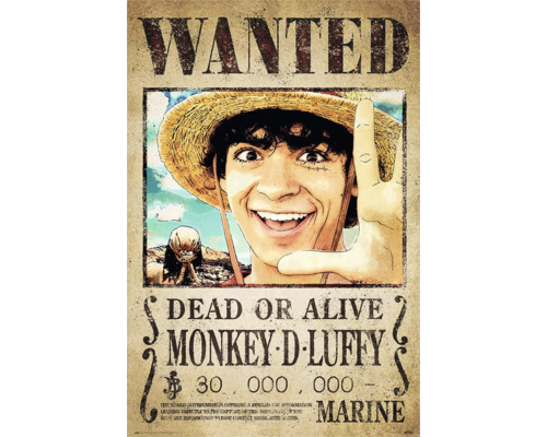 Poster Wanted 61x91,5 cm