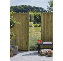 Garten Szene mit Holzzaun, Glaselement und Sitzbank