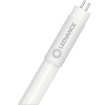 LEDVANCE LED Röhre