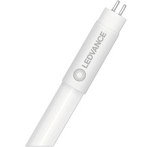 Ledvance LED Röhre