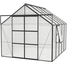 Gewächshaus mit geöffneter Tür und Fenster für den Garten