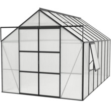 Gewächshaus mit geöffneter Tür und Fenster