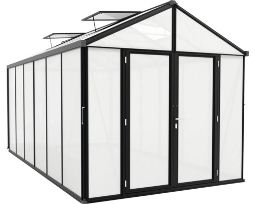 Gewächshaus mit Doppeltür und Dachfenstern