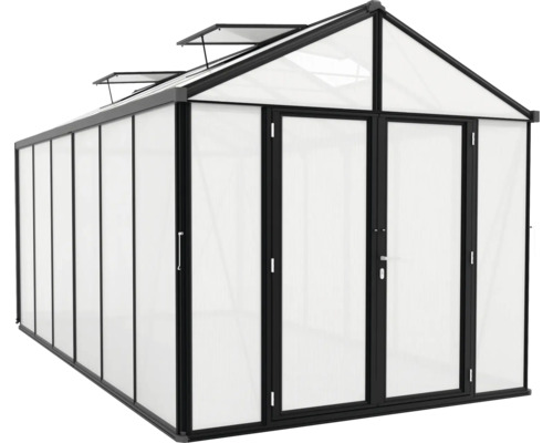 Gewächshaus mit Doppeltür und Dachfenstern