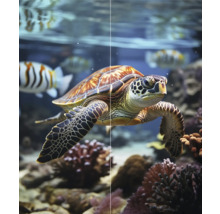 Eine Meeresschildkröte schwimmt in einem Aquarium mit Fischen und Korallen.