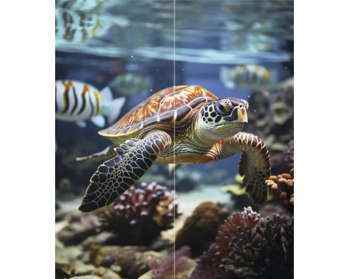 Eine Meeresschildkröte schwimmt in einem Aquarium mit Fischen und Korallen.