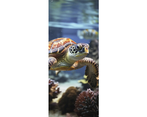 Eine Meeresschildkröte schwimmt im Wasser.