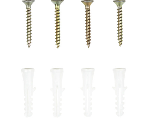 Schrauben mit Dübeln