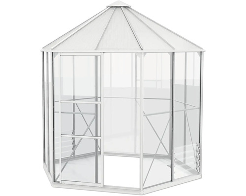 Gewächshaus mit Aluminiumrahmen und Polycarbonatplatten