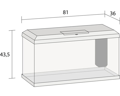 Aquarium mit den Maßen 81 cm Länge, 36 cm Breite und 43,5 cm Höhe.