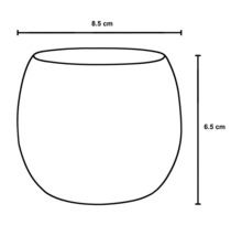 Skizze eines Gefäßes mit den Maßen 8,5 cm Breite und 6,5 cm Höhe
