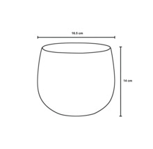 Illustration einer Pflanzschale mit den Maßen 16,5 cm Breite und 14 cm Höhe
