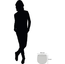 Abbildung einer Pflanzschale mit den Maßen 16,5 cm Durchmesser und 14 cm Höhe