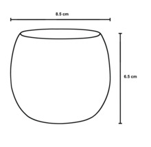 Illustration einer Glasvase mit den Maßen 8,5 Zentimeter Breite und 6,5 Zentimeter Höhe.